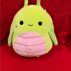 Squishmallows Valentines Green and Pink Plush Toy